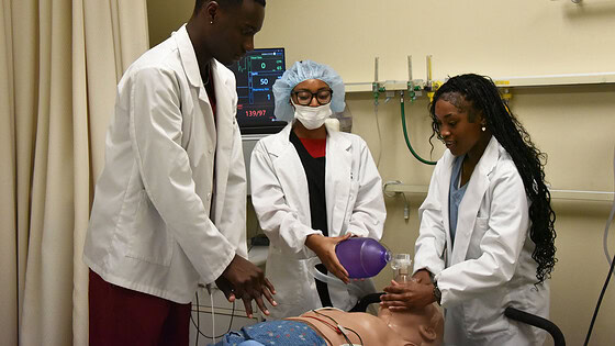 Students from the HCOP Academy work to resuscitate a manikin during an exercise at the UAMS Simulation Center.
