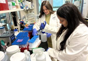 Stead research