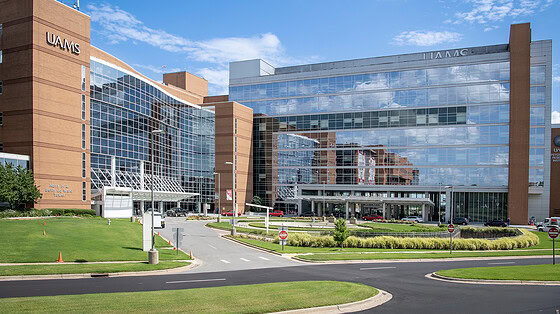 UAMS has been awarded nearly $12 million from the Arkansas Rural Health Transformation Program.