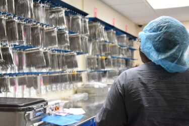 Kyndall Owens stands in a storage room for surgical instruments used in procedures at UAMS.