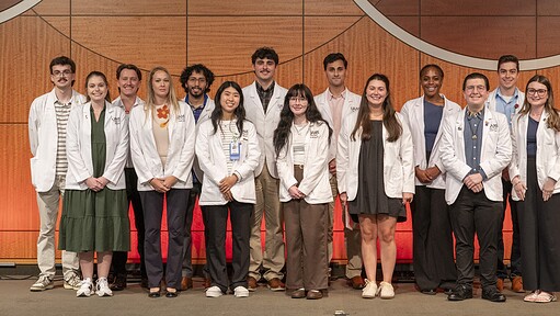 Pharmacy students in Little Rock who received research fellowship scholarships pose for a photo.