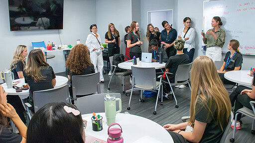 Board members from Members of the Every Mother Counts Board of Directors visit with members of the University of Arkansas for Medical Sciences (UAMS) Institute for Community Health Innovation and Ignite Professional Studies.