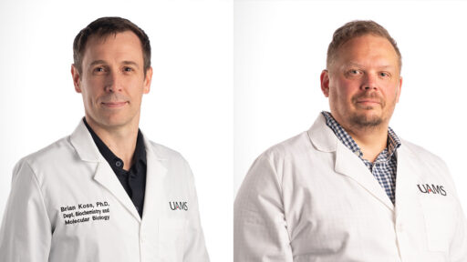 Brian Koss, Ph.D., and Joonas Jämsén, Ph.D.